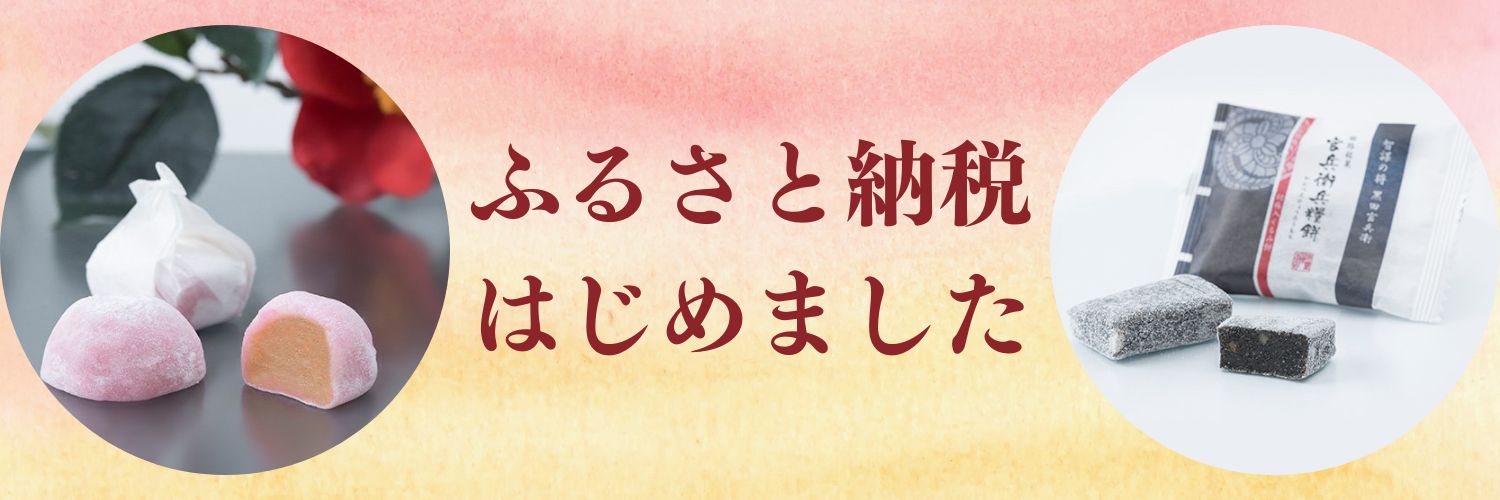 ふるさと納税はじめました